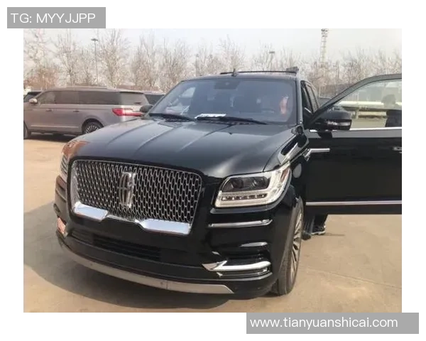 林肯红魔与德利塔格尼拉內的巅峰对决精彩回顾与战术分析