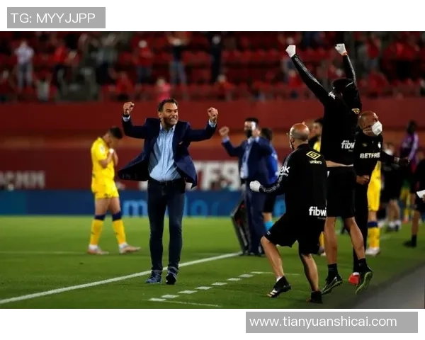 西班牙人对巴列卡诺直播观看指南及比赛前瞻分析